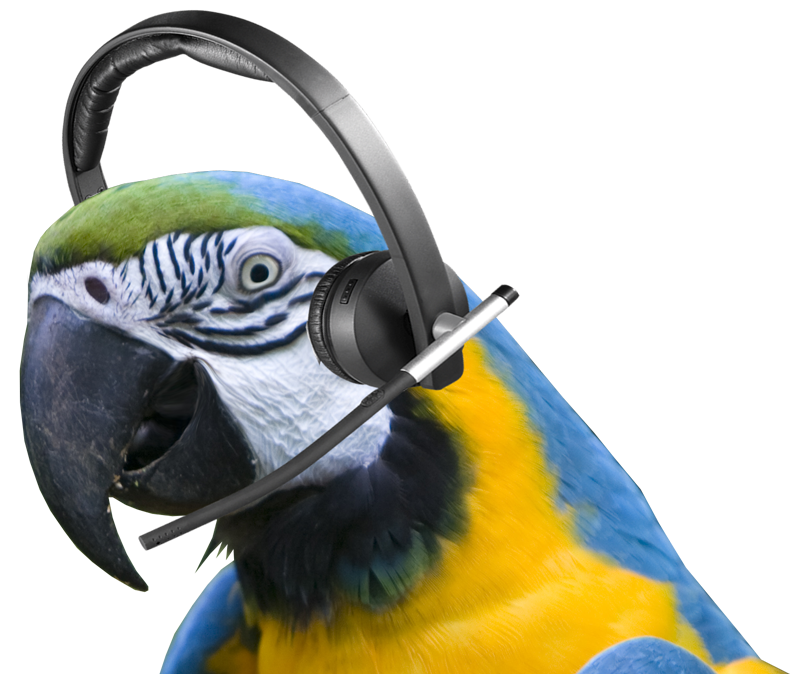 macaw me later